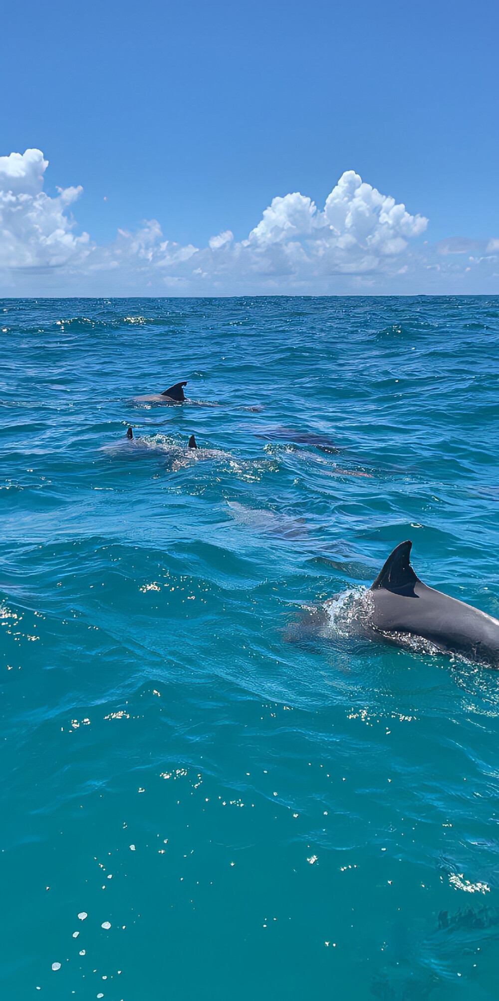 ♡ ʇnq n ǝʌol ı