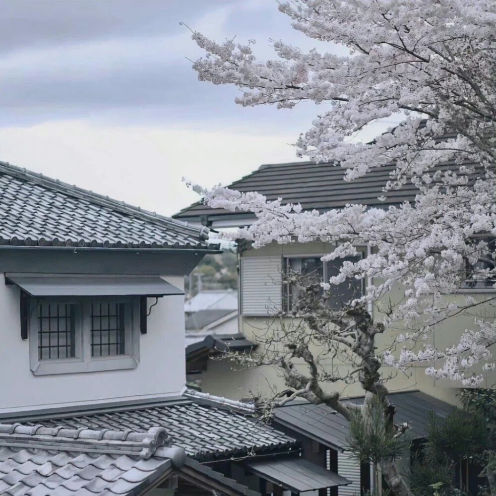 空间/朋友圈背景图