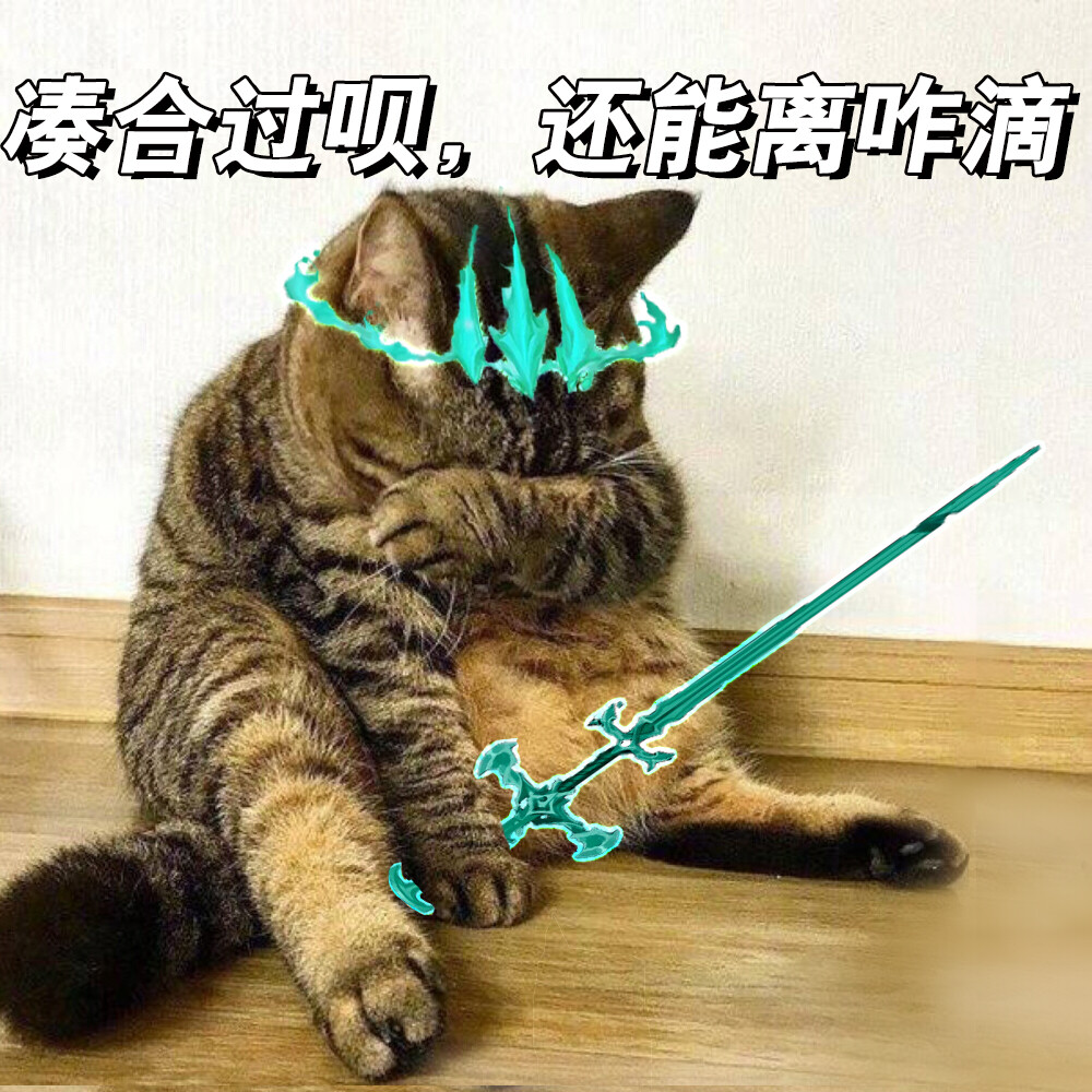 猫猫和佛佛的情头！