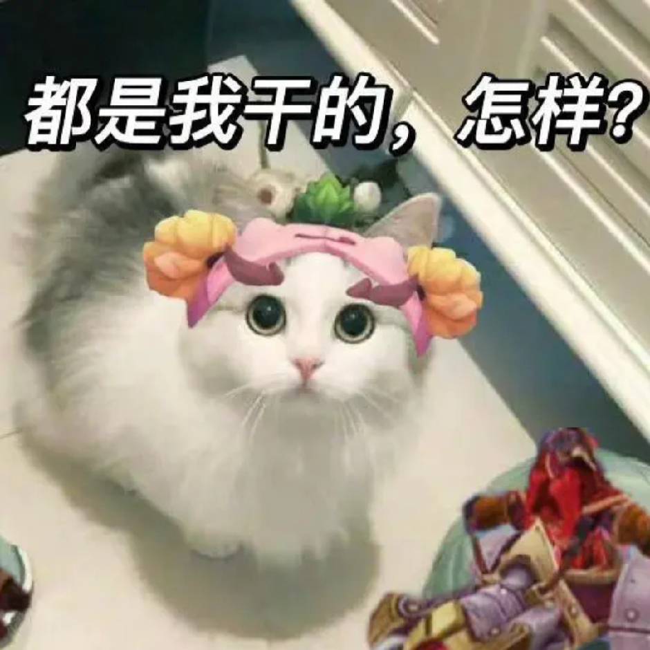 猫猫和佛佛的情头！