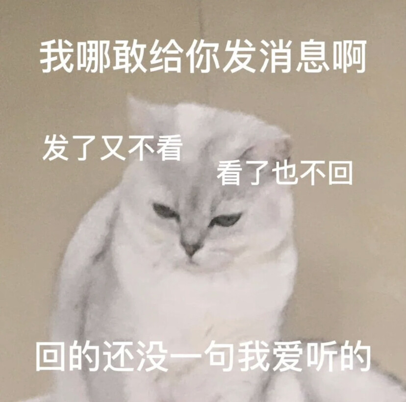 我哪敢给你发消息啊