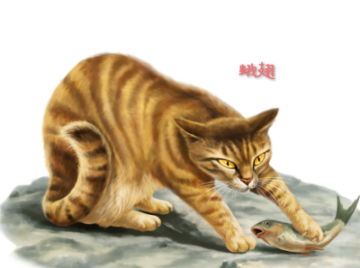 猫武士4