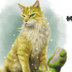 猫武士狮星图片