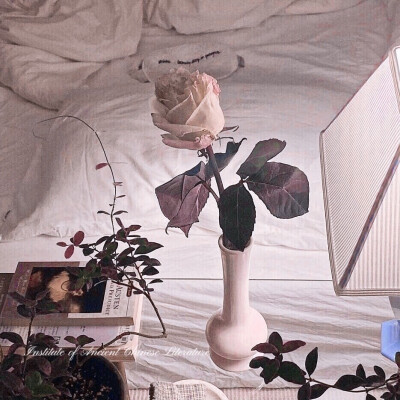 檀健次/原截cr俞照
快去改这个美女子的图！