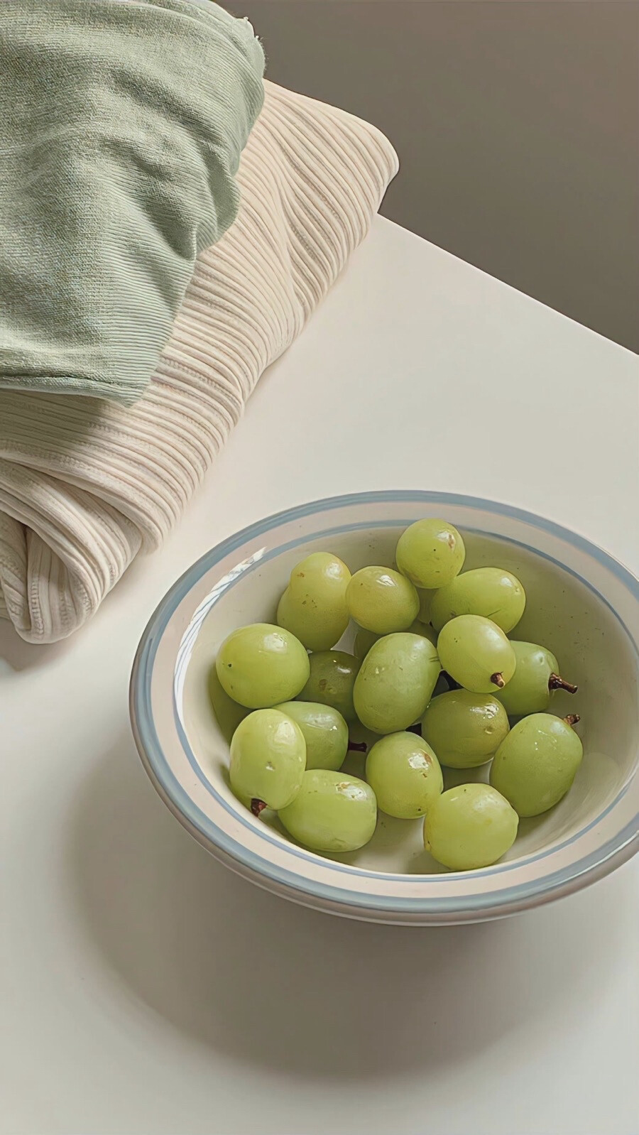 -积极慵懒，捕捉春天/壁纸