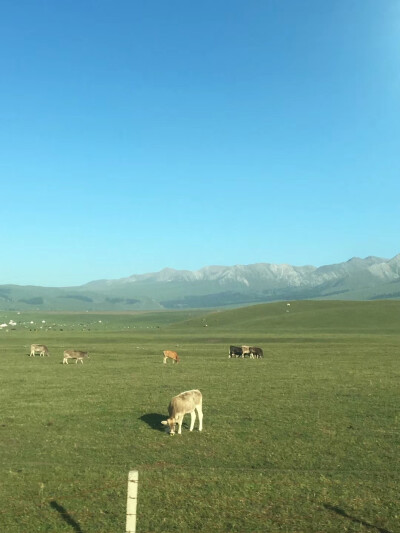享受大自然的风景