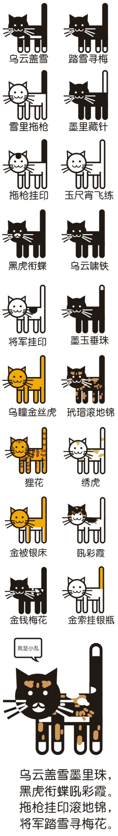 猫猫分类