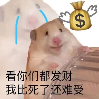 可爱猫猫和狗狗表情包