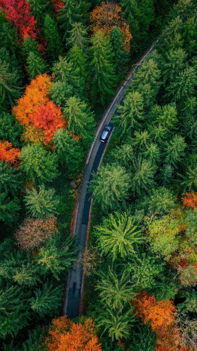 大好河山