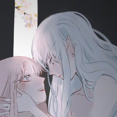 百合花开了