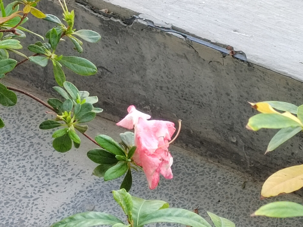 结束的实验室外