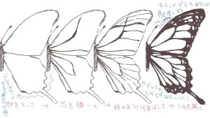 蝴蝶画法