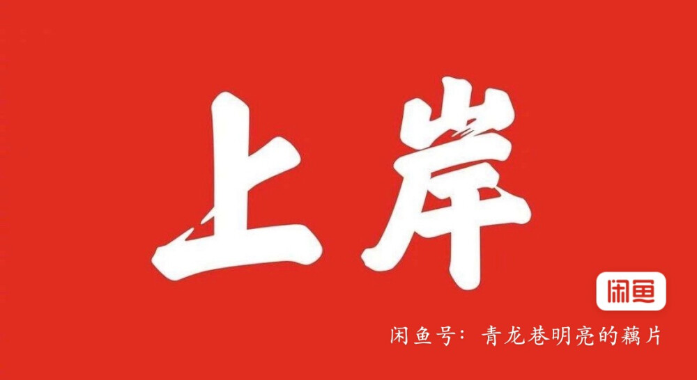 学习学习