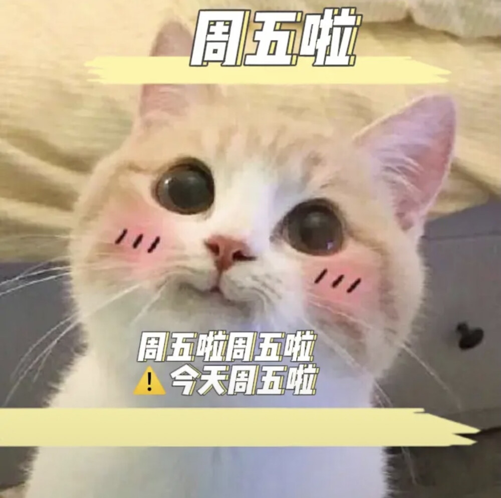 开启下周的好心情就全靠你了老白干! 加油啊!