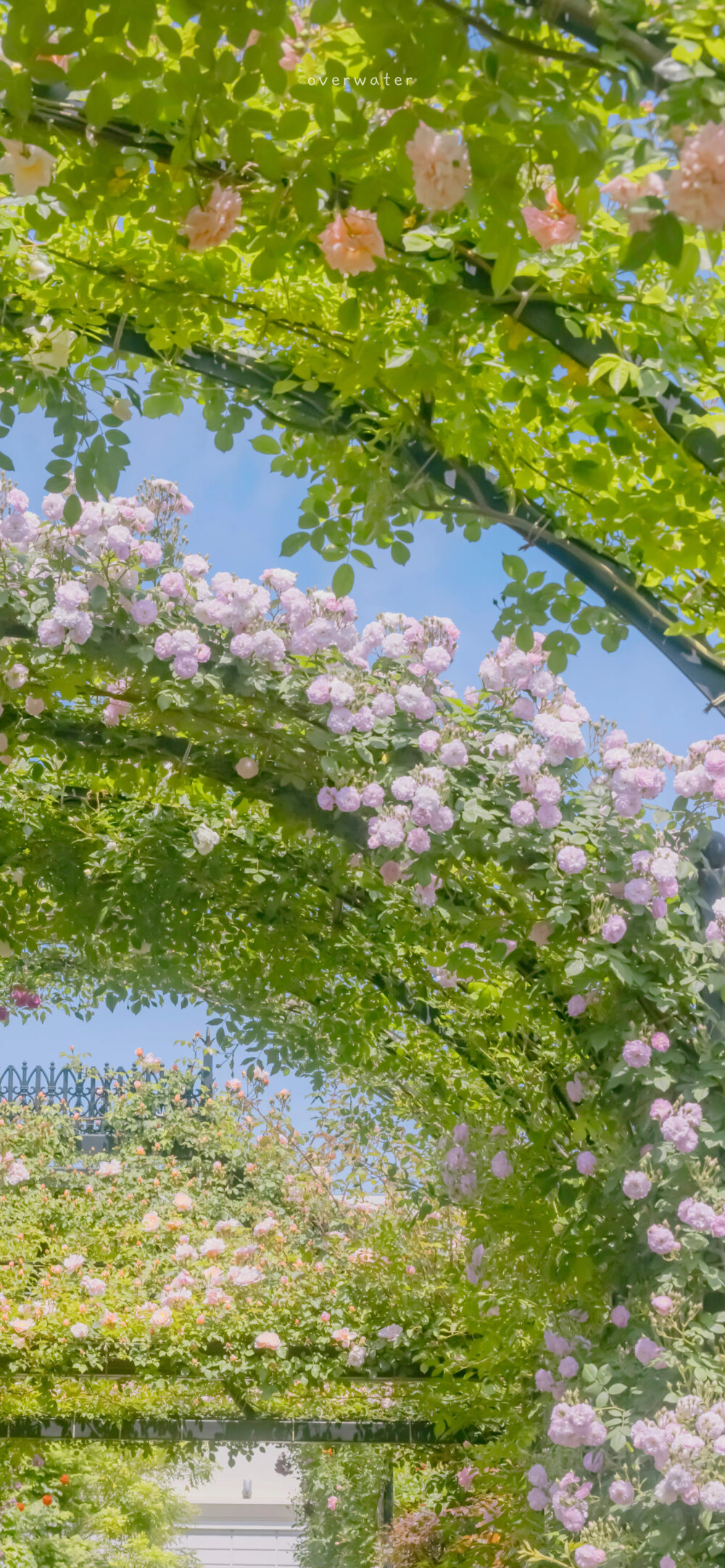 壁纸图片来源于网络 侵删 - 堆糖,美图壁纸兴趣社区