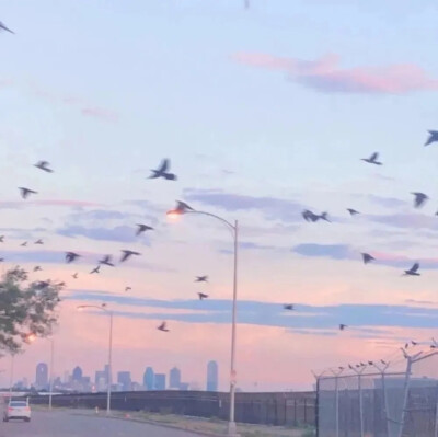 前路光明 来日方长