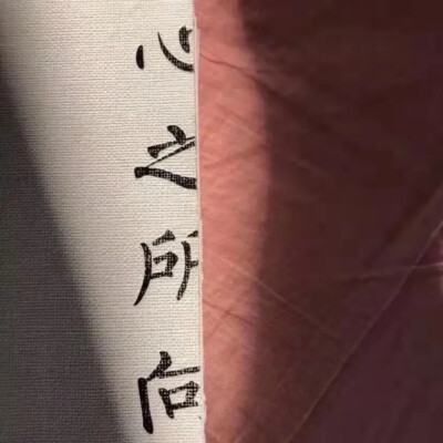 前路光明 来日方长