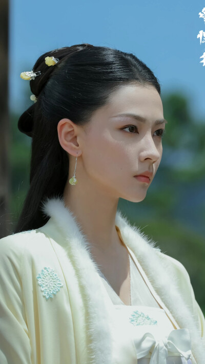 雪中悍刀行 青鸟 丁笑滢