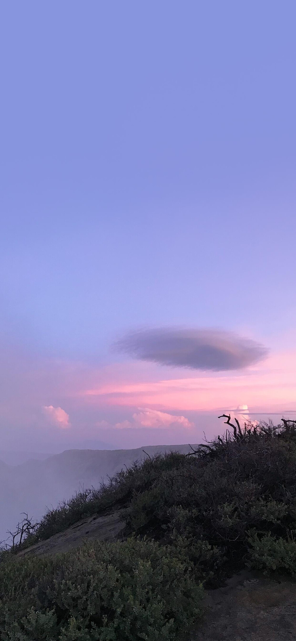 壁纸 海