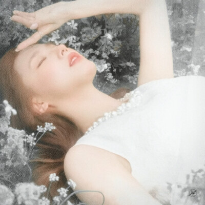 "The Story of Flowers"就让我留在时间里*