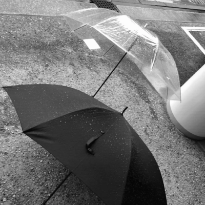 "The Story of Flowers"就让我留在时间里*