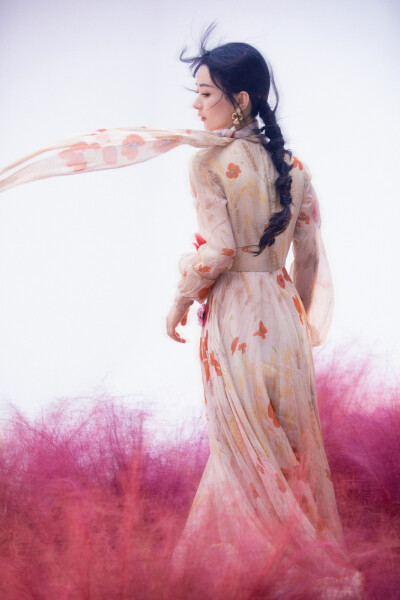 玫瑰花会腐烂担赵丽颖不会，