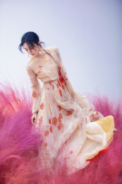 玫瑰花会腐烂担赵丽颖不会，