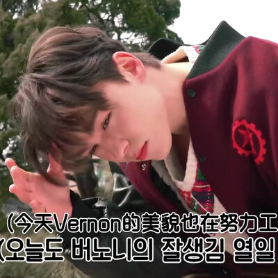 Vernon+崔瀚率可二改。