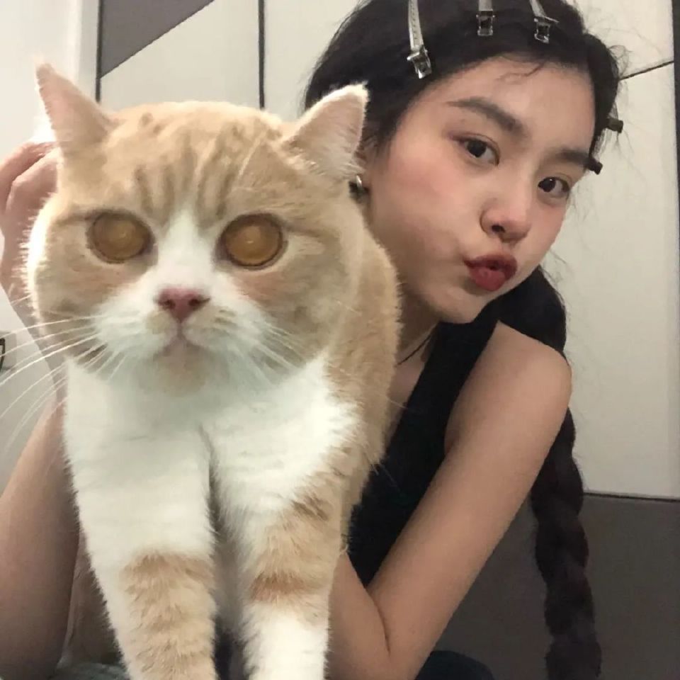 喜欢就点个赞 收藏吧！！！