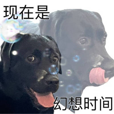 好爱好爱好爱沙雕可爱表情包包