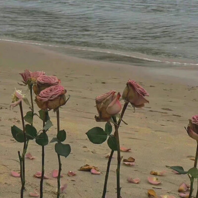 月亮指路牌_侵权删