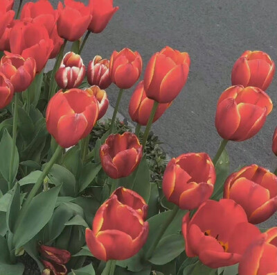 月亮指路牌_侵权删