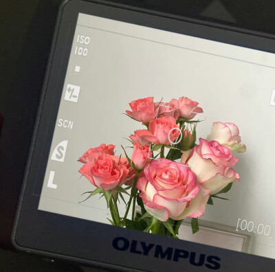 月亮指路牌_侵权删