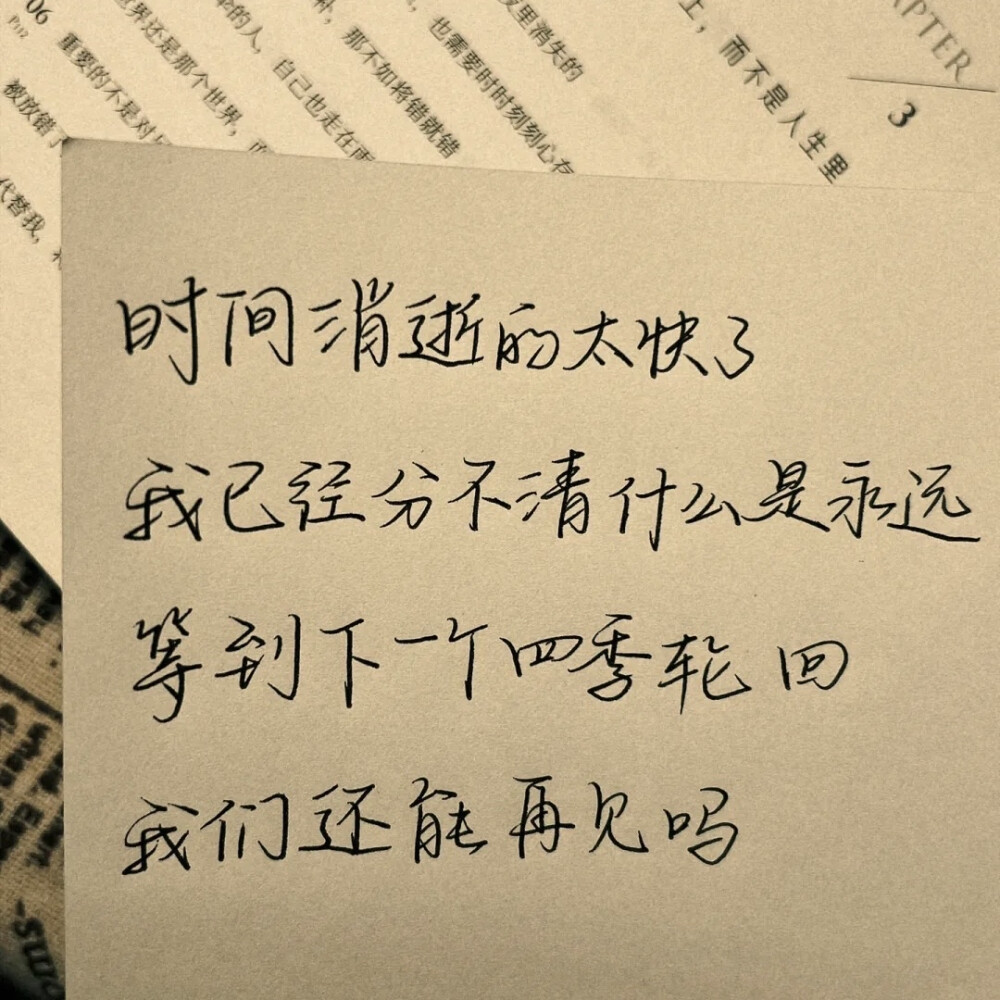 “但这并不会影响我们去热爱这个世界”
手写文案｜每日摘抄｜文字
cr: xhs【孟星河_】