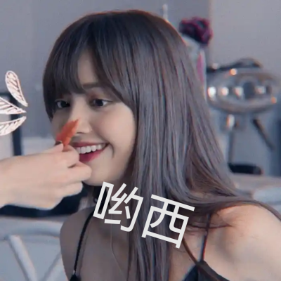 Lisa表情包
侵仅删