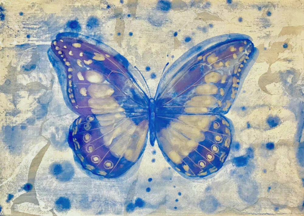 梦蝶 。Hiroko Otake ​