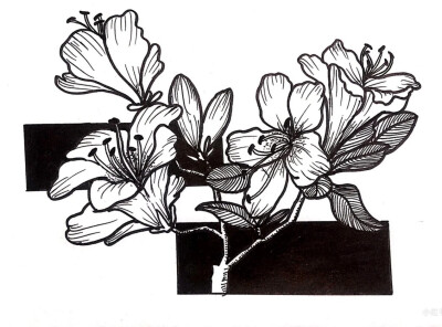 黑白画
