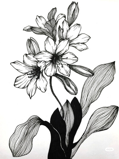 黑白画