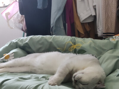 刚睡着睡着，突然伸个懒腰？？？