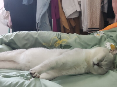 刚睡着睡着，突然伸个懒腰？？？