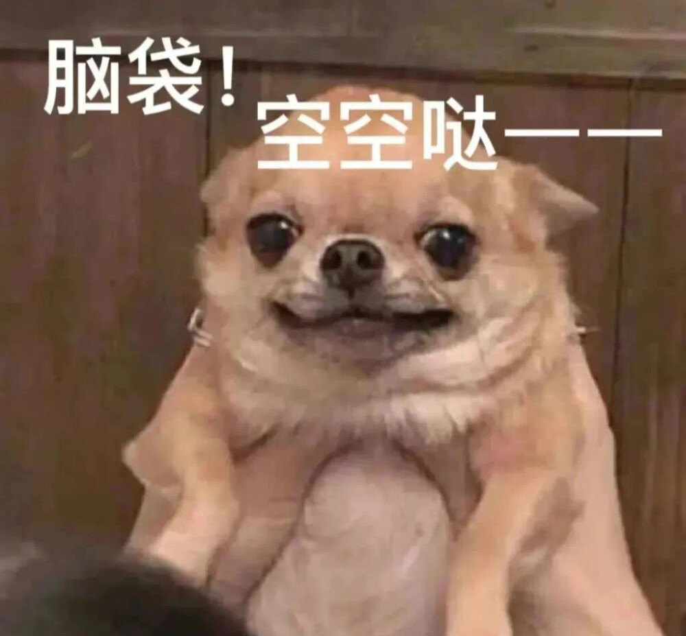 表情包