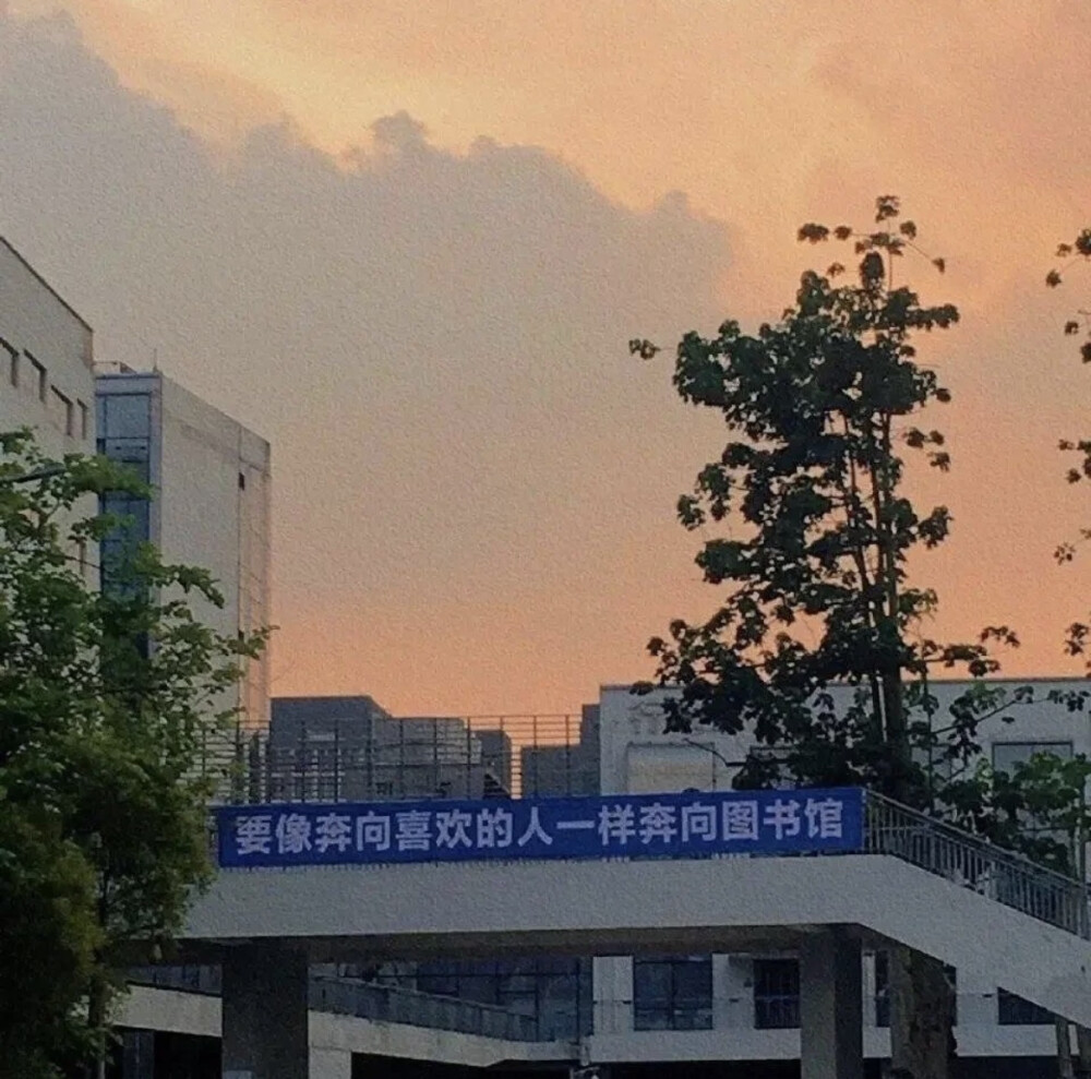 壁纸