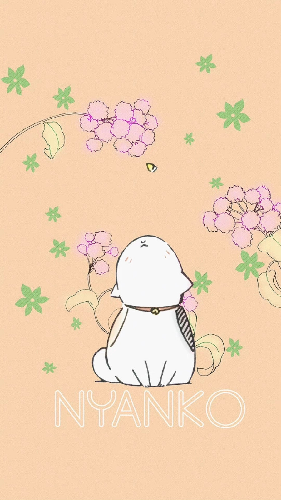 猫咪老师