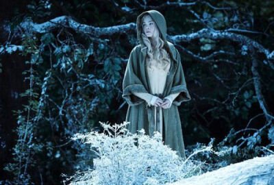 艾丽范宁 《沉睡魔咒》