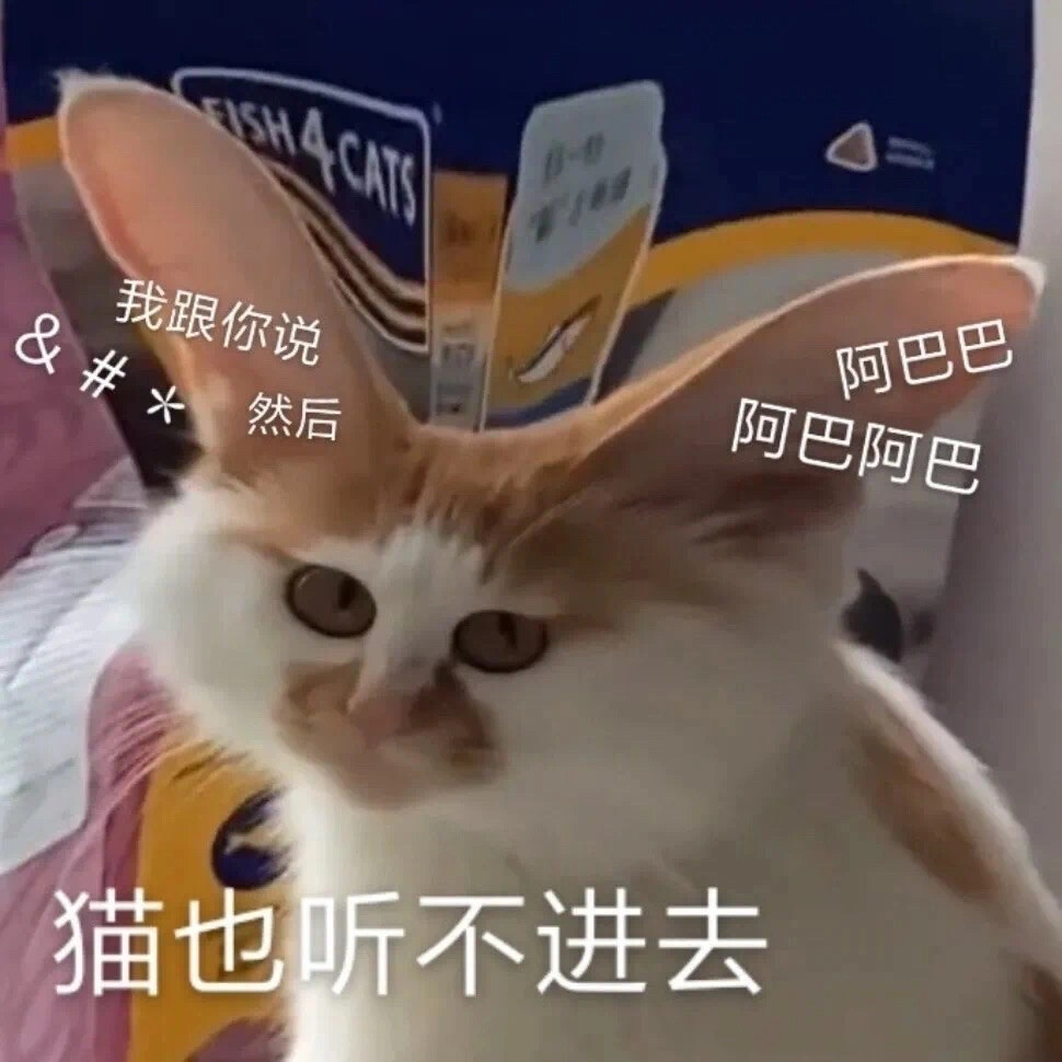 你很胖 才不是毛茸茸