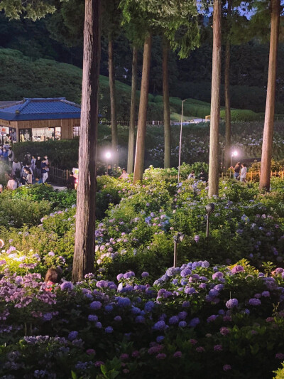 只有日本_京都宇治三室户駅