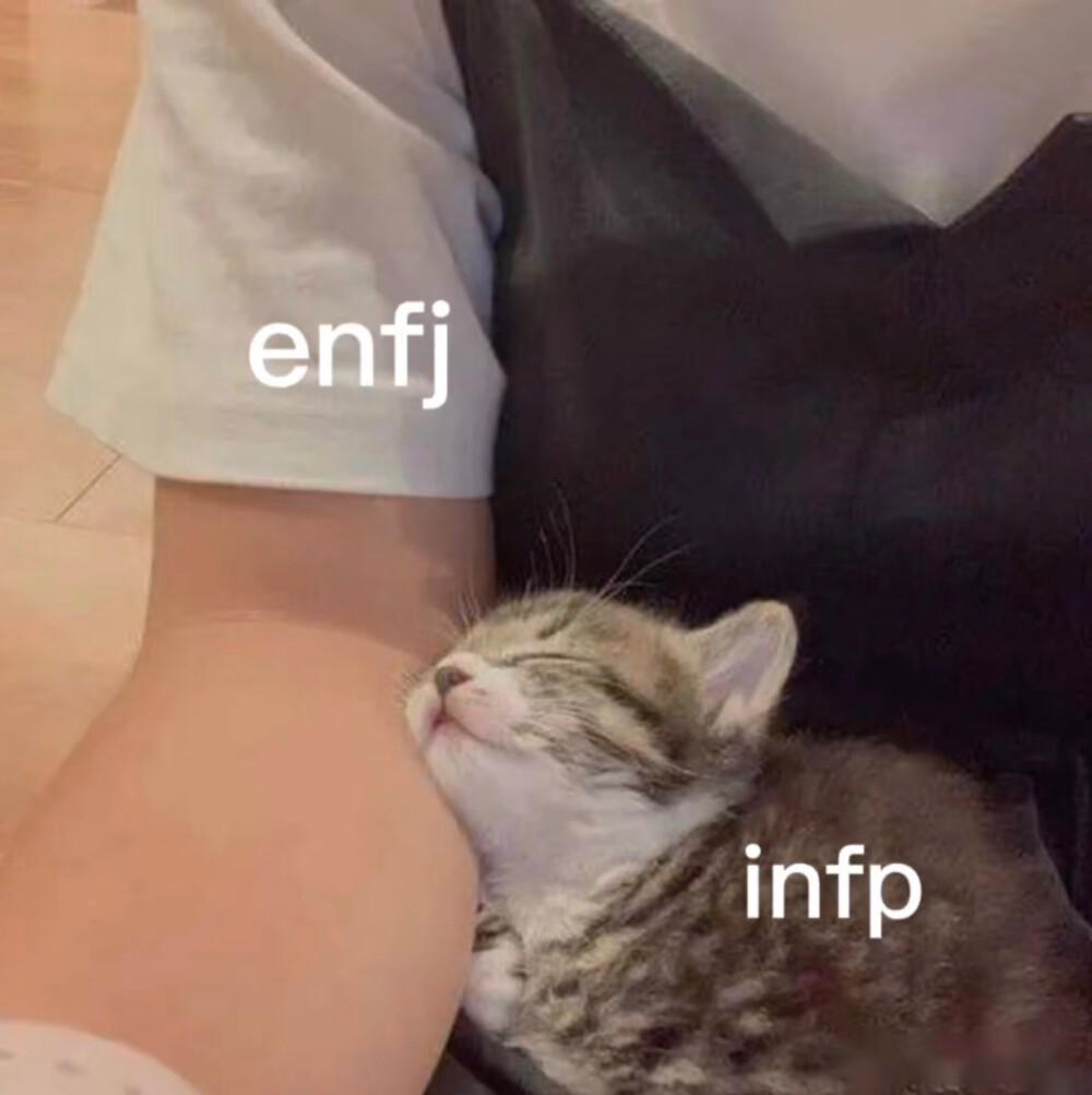 ENFJ INFP