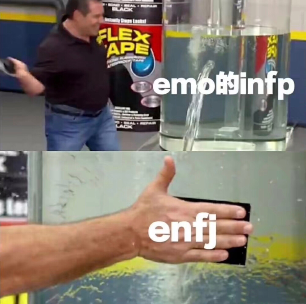 ENFJ INFP