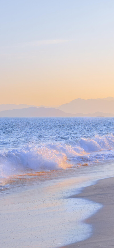 大海 海鸥 夕阳