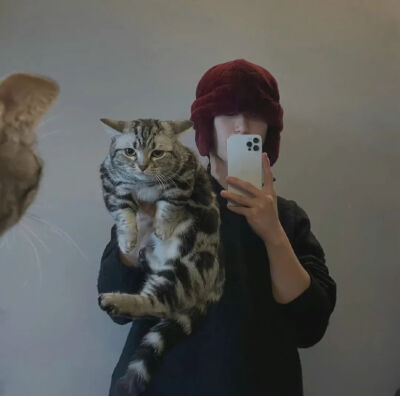 【男头像杂烩】男生头像#遮挡#宠物#唯美韩国#小清新#伤感#帅气#高清#暖男#欧美#霸气ᵎ鲜肉#By沐晴